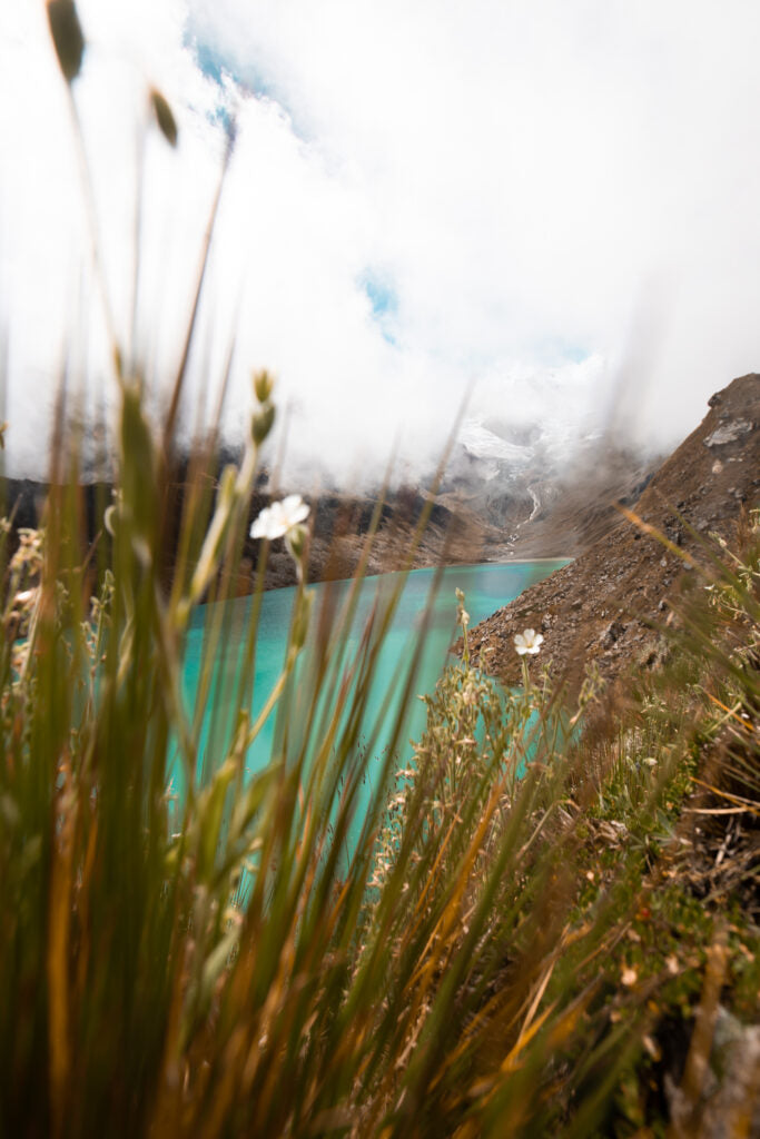 Vilcabamba Trek